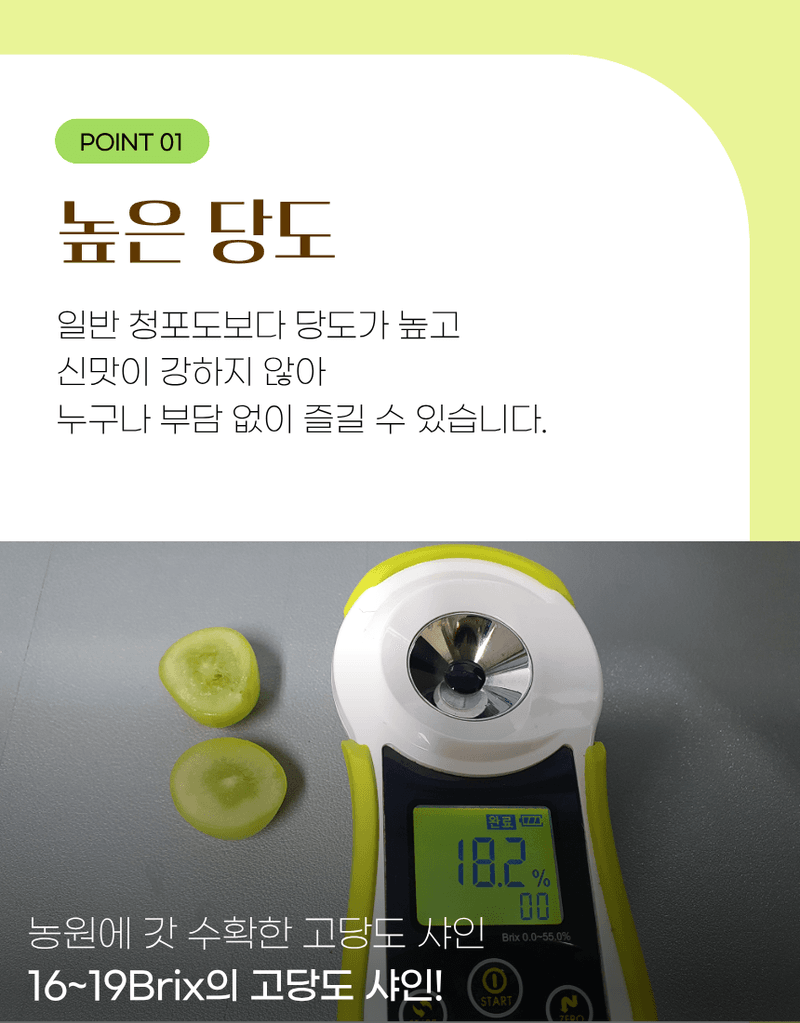 과일팩토리님의 장터 판매 상품 [프리미엄 고당도 고급포도 샤인머스캣 1등급/2등급/특등급] 첨부 사진