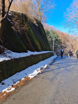 MSG0074님의 자유주제 · 자유게시판 작성글 사진