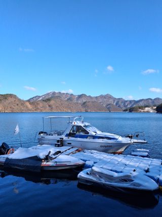 MSG0074님의 자유주제 · 자유게시판 작성글 사진