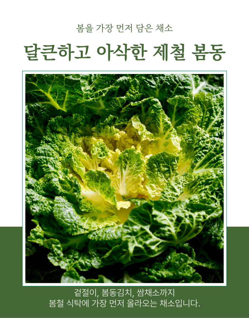 과일팩토리님의 장터 판매 상품 [산지직송 신선한 국내산 제철 채소 봄동 1kg/2kg/3kg/5kg/10kg] 첨부 사진