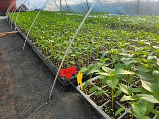 이인오님의 자유주제 · 자유게시판 작성글 사진