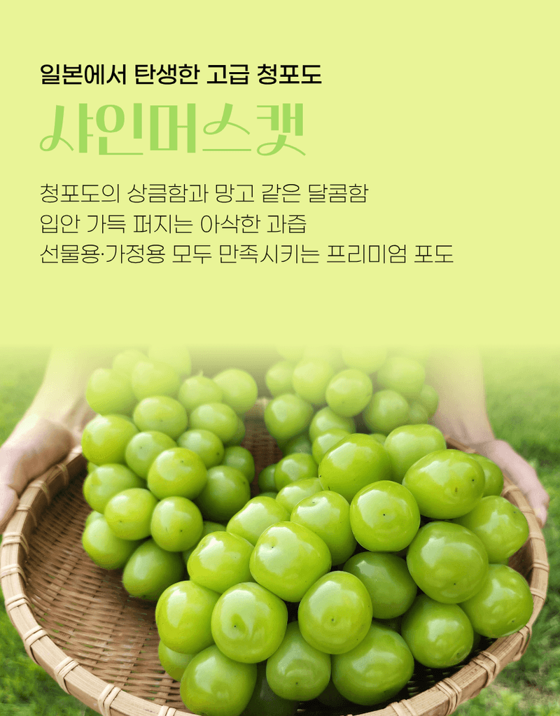 과일팩토리님의 장터 판매 상품 [프리미엄 고당도 고급포도 샤인머스캣 1등급/2등급/특등급] 첨부 사진