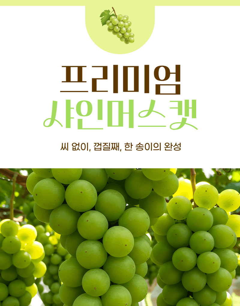 과일팩토리님의 장터 판매 상품 [프리미엄 고당도 고급포도 샤인머스캣 1등급/2등급/특등급] 첨부 사진