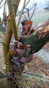 팜모닝 자유주제·자유게시판 게시글 이미지