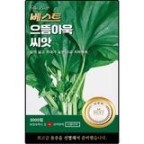 팜모닝 · 게시글 이미지