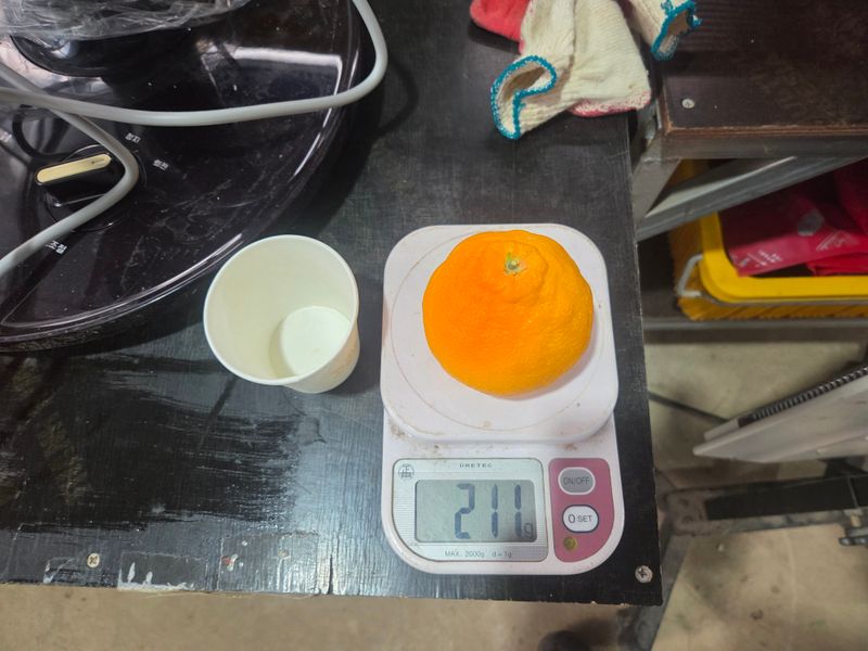 원지연님의 장터 판매 상품 [(가정용) 한라봉 10kg,5kg] 첨부 사진