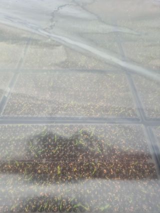 조성민님의 자유주제 · 자유게시판 작성글 사진