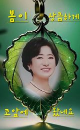 팜모닝 자유주제·자유게시판 게시글 이미지