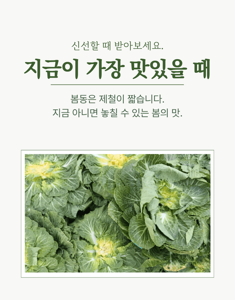 과일팩토리님의 장터 판매 상품 [산지직송 신선한 국내산 제철 채소 봄동 1kg/2kg/3kg/5kg/10kg] 첨부 사진
