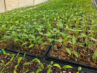 이인오님의 자유주제 · 자유게시판 작성글 사진