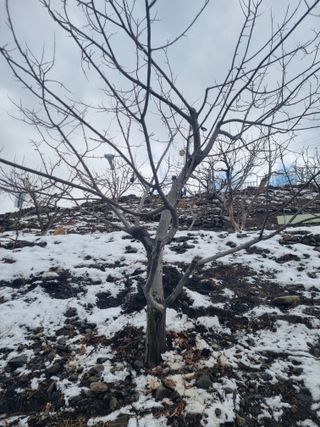 김용대님의 자유주제 · 자유게시판 작성글 사진