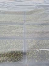 조성민님의 자유주제·자유게시판 작성글 사진