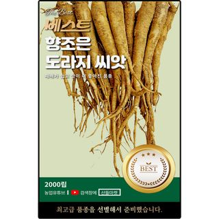산들마켓,씨앗마켓님의 작성글 사진
