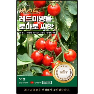 산들마켓,씨앗마켓님의 작성글 사진