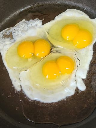 복숭아님의 자유주제·자유게시판 작성글 사진