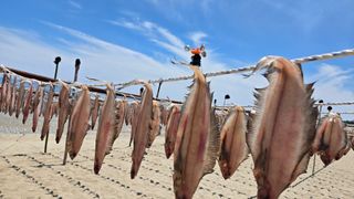 농수사님의 작성글 사진