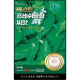 팜모닝 · 게시글 이미지