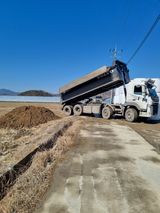 팜모닝 자유주제·자유게시판 게시글 이미지