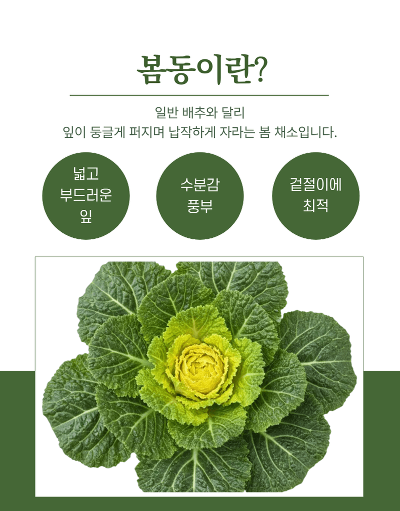 과일팩토리님의 장터 판매 상품 [산지직송 신선한 국내산 제철 채소 봄동 1kg/2kg/3kg/5kg/10kg] 첨부 사진