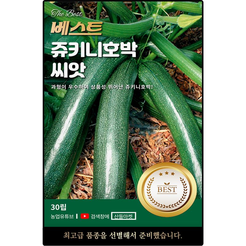 장터 상품 [베스트 쥬키니 호박 씨앗 30립 수량성 좋고 상품성 뛰어난 호박씨 종자] 썸네일