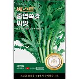 팜모닝 · 게시글 이미지