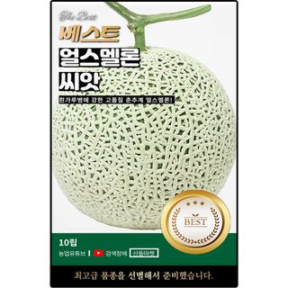 산들마켓,씨앗마켓님의 작성글 사진