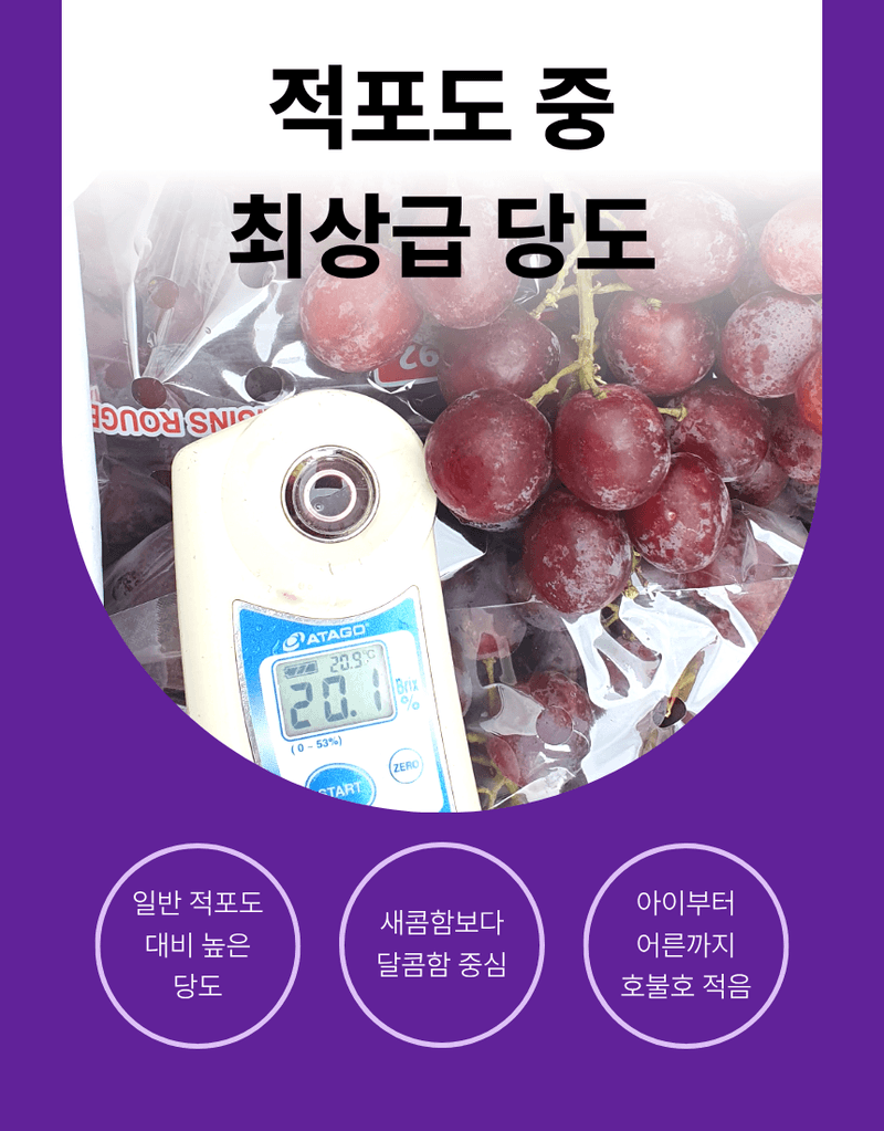 과일팩토리님의 장터 판매 상품 [프리미엄 고당도 씨없는 수입포도 크림슨포도 500G/1KG/2KG/4KG] 첨부 사진