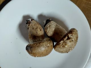 별빛농장지기님의 자유주제 · 자유게시판 작성글 사진