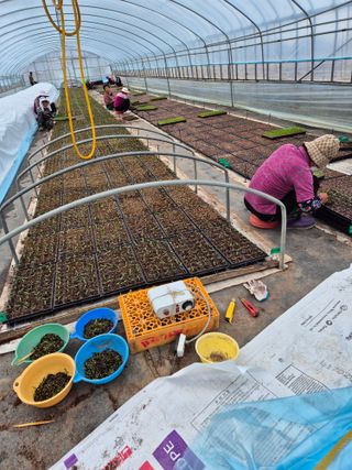 김영진(전남영광)님의 자유주제 · 자유게시판 작성글 사진