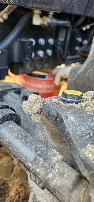 뿌리묘목농원님의 자유주제 · 자유게시판 작성글 사진