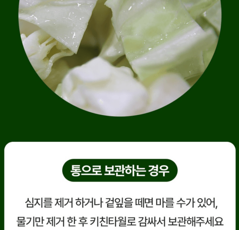 스피드번님의 장터 판매 상품 [제주도 고깔양배추 가정용] 첨부 사진