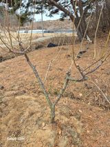 팜모닝 자유주제·자유게시판 게시글 이미지