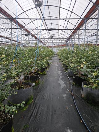 제주 지안이네농장님의 자유주제 · 자유게시판 작성글 사진