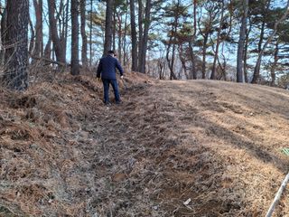 MSG0074님의 자유주제 · 자유게시판 작성글 사진