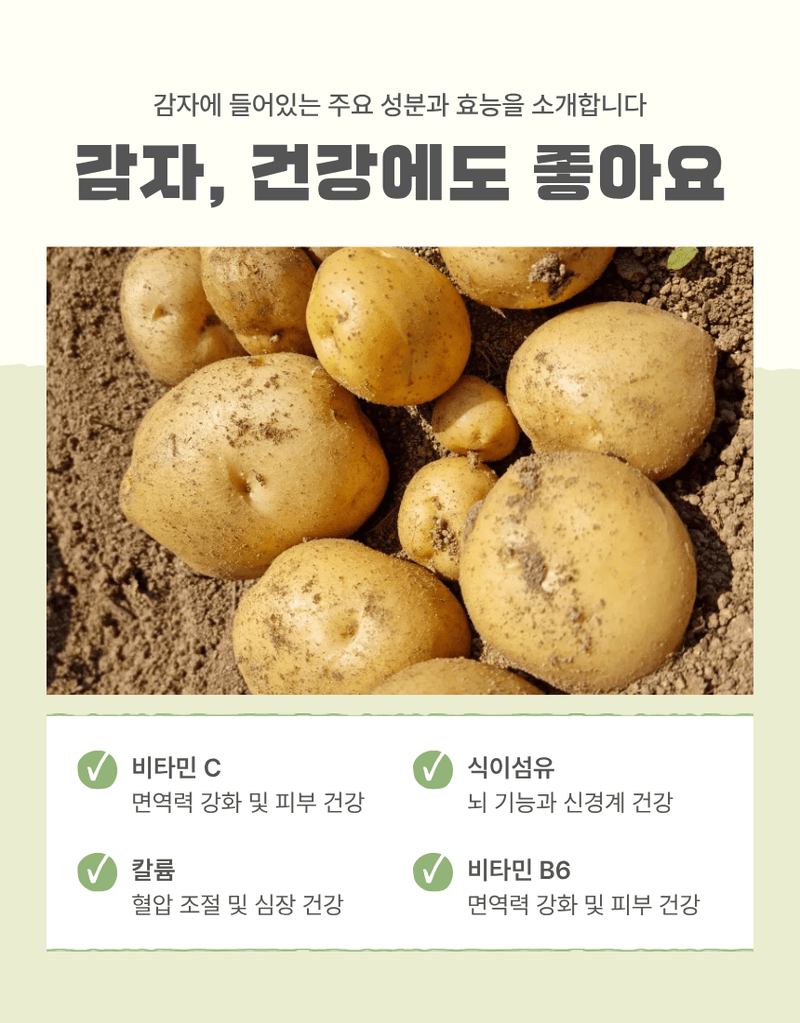 과일팩토리님의 장터 판매 상품 [산지직송 포슬포슬 햇감자 제철 수확 감자 햇감자 1kg/2kg/3kg/5kg/10kg] 첨부 사진