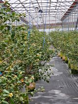 팜모닝 자유주제·자유게시판 게시글 이미지