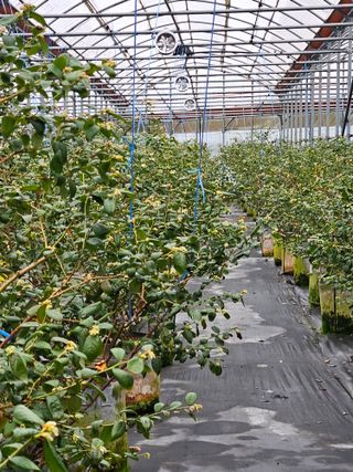 제주 지안이네농장님의 자유주제 · 자유게시판 작성글 사진