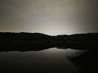 산양삼님의 자유주제 · 자유게시판 작성글 사진