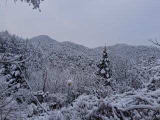 김석순 대암산아랫말님의 자유주제 · 자유게시판 작성글 사진
