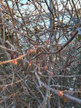 팜모닝 자유주제·자유게시판 게시글 이미지