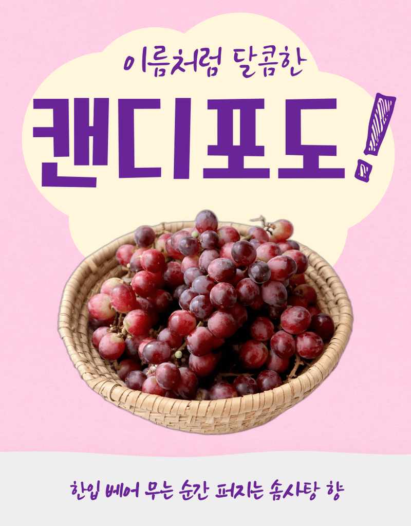 과일팩토리님의 장터 판매 상품 [프리미엄 신품종 초고당도 수입포도 솜사탕향 캔디포도 500g/1kg/2kg/4kg] 첨부 사진