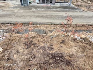 전홍열님의 자유주제 · 자유게시판 작성글 사진