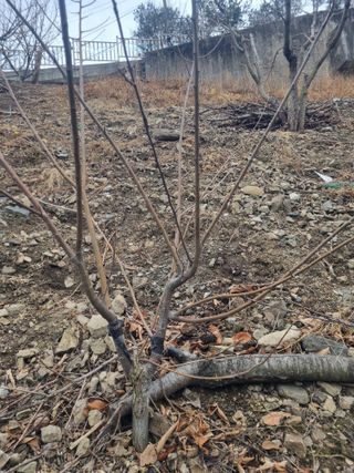 김용대님의 자유주제 · 자유게시판 작성글 사진