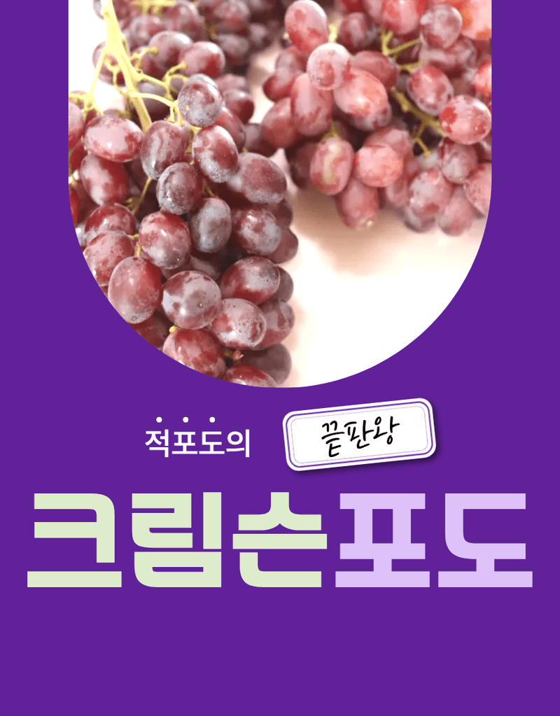 과일팩토리님의 장터 판매 상품 [프리미엄 고당도 씨없는 수입포도 크림슨포도 500G/1KG/2KG/4KG] 첨부 사진