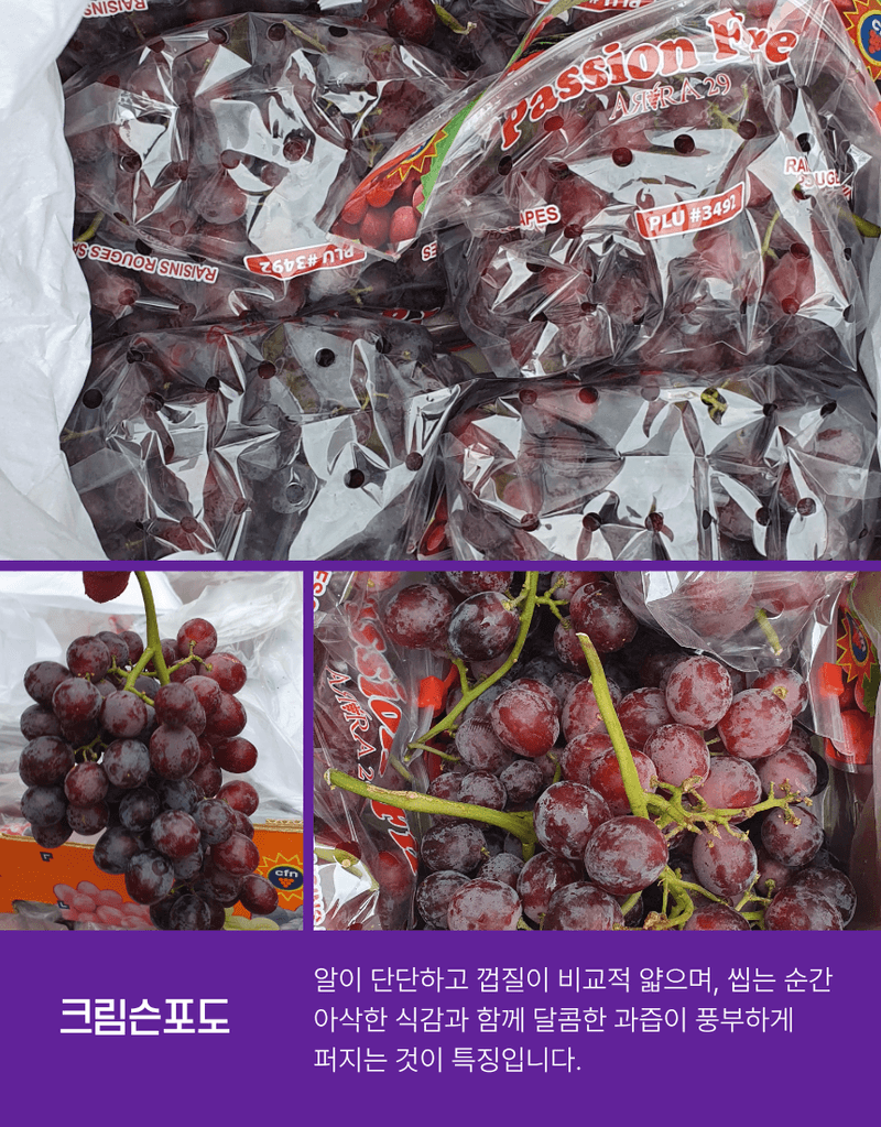 과일팩토리님의 장터 판매 상품 [프리미엄 고당도 씨없는 수입포도 크림슨포도 500G/1KG/2KG/4KG] 첨부 사진