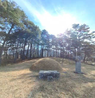 MSG0074님의 자유주제 · 자유게시판 작성글 사진