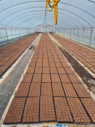 김영진(전남영광)님의 자유주제 · 자유게시판 작성글 사진