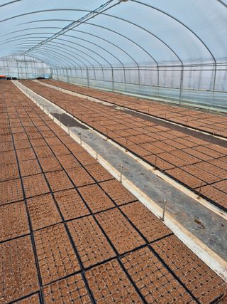 김영진(전남영광)님의 자유주제 · 자유게시판 작성글 사진