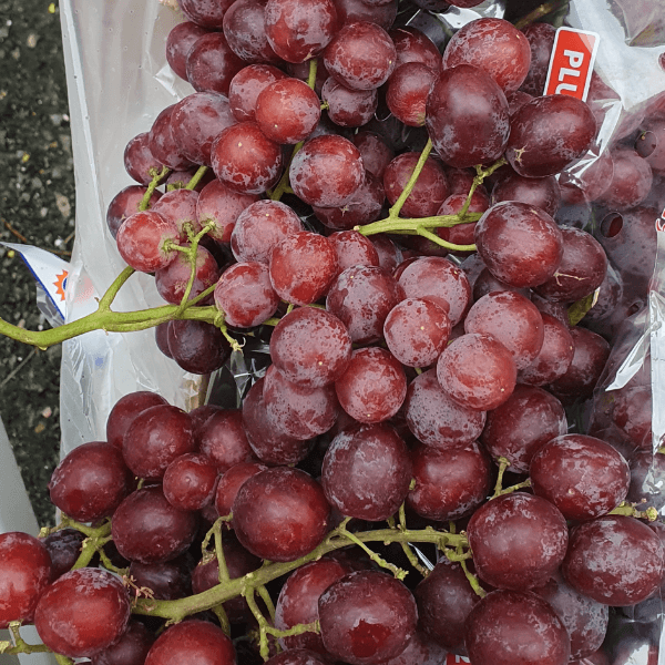 장터 상품 [프리미엄 고당도 씨없는 수입포도 크림슨포도 500G/1KG/2KG/4KG] 썸네일