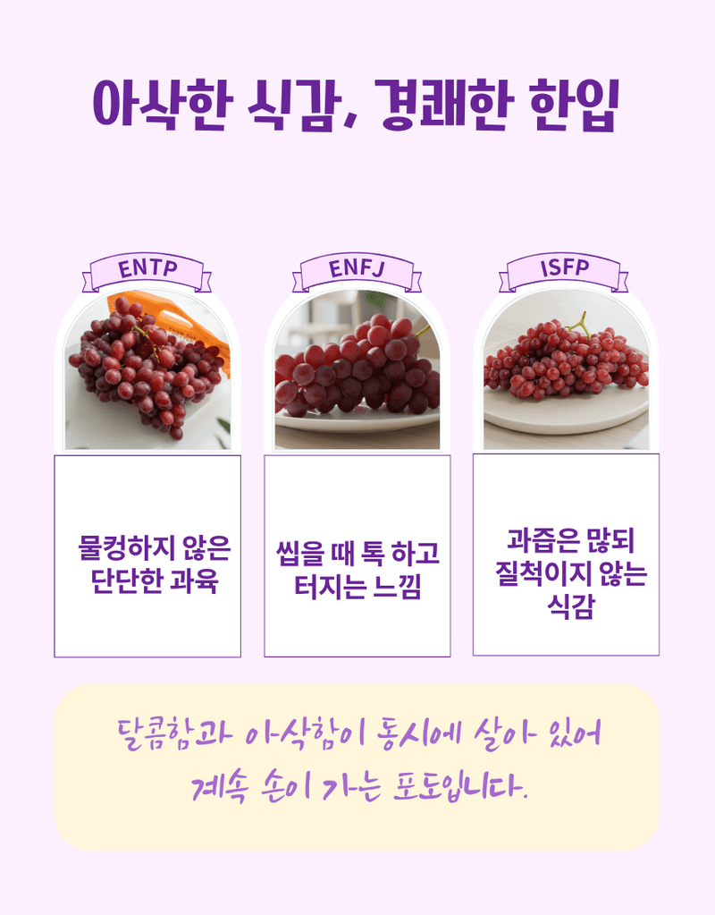 과일팩토리님의 장터 판매 상품 [프리미엄 신품종 초고당도 수입포도 솜사탕향 캔디포도 500g/1kg/2kg/4kg] 첨부 사진